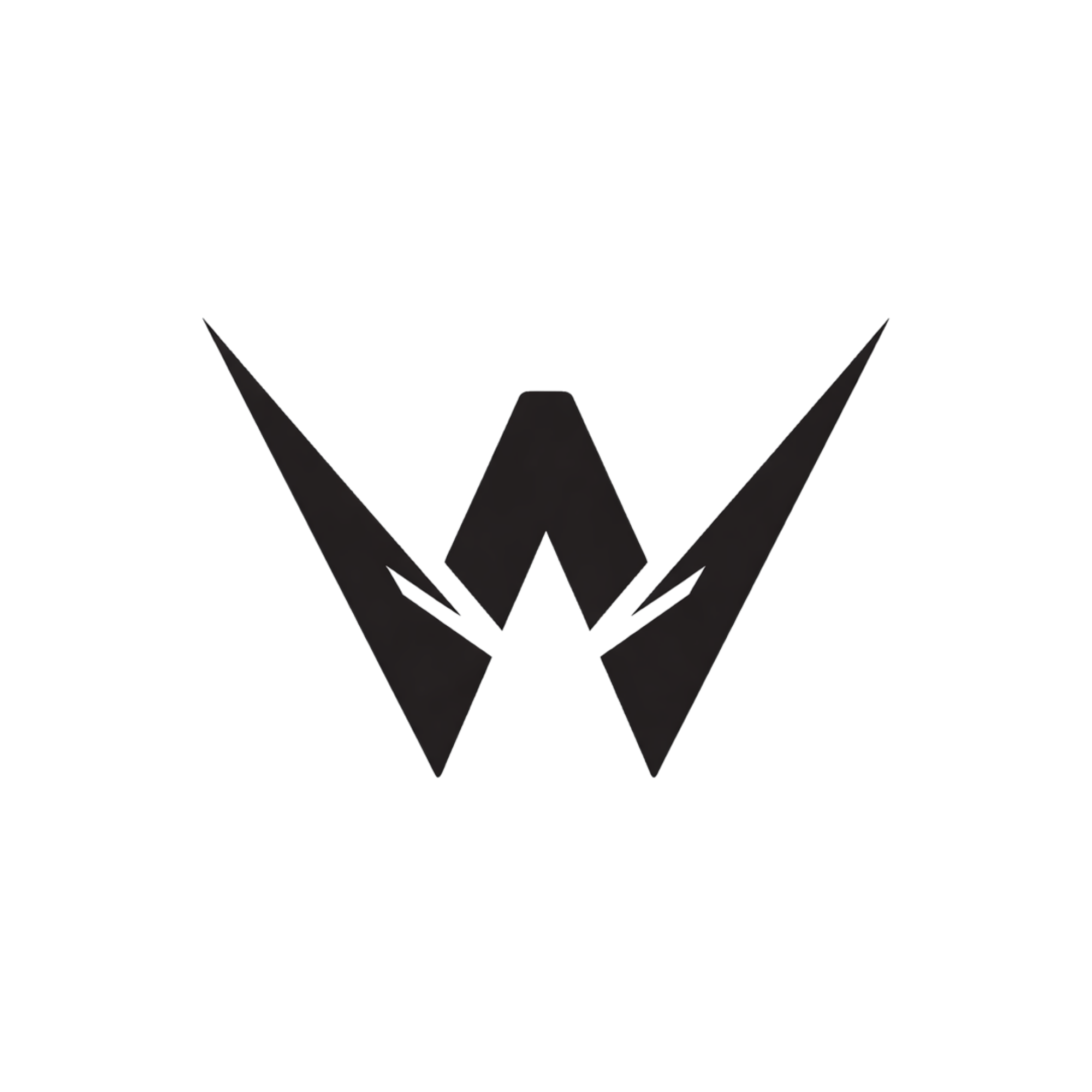 WENCLAW Logo